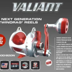 Accurate BV2-800 Boss Valiant Conventional Reels -Marine Equipment & Accessories Sales Store accurate bv2 800 boss valiant conventional reels 69820.1651148381