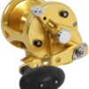 Avet Reels Avet LX 6.0 G2 MC 1 Speed Reel - Gold (No Glide Plate)