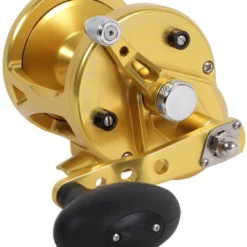 Avet Reels Avet LX 6.0 G2 MC 1 Speed Reel - Gold (No Glide Plate)