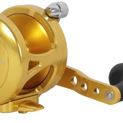 Avet Reels Avet MXJ 5.8 G2 1 Speed Reel - Gold (No Glide Plate) 4 Avet Reels Avet MXJ 5.8 G2 1 Speed Reel - Gold (No Glide Plate) -Marine Equipment & Accessories Sales Store avet mxj 5 8 g2 rh gd ngp reel 32552.1651417671