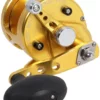 Avet Reels Avet MXJ 5.8 G2 1 Speed Reel - Gold (No Glide Plate)