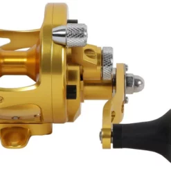 Avet Reels Avet MXJ 5.8 G2 1 Speed Reel - Gold (No Glide Plate) 5 Avet Reels Avet MXJ 5.8 G2 1 Speed Reel - Gold (No Glide Plate) -Marine Equipment & Accessories Sales Store avet mxj 5 8 g2 rh gd ngp reel 65158.1651417671