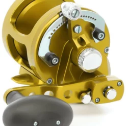 Avet Reels Avet MXJ 6/4 MC Raptor 2-Speed Lever Drag Casting Reel - Gold