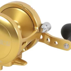 Avet Reels Avet MXL 5.8 G2 1 Speed Reel - Gold (No Glide Plate) -Marine Equipment & Accessories Sales Store avet mxl 5 8 g2 rh gd ngp reel 92267.1651417679