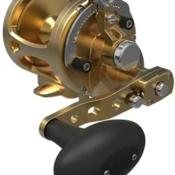 Avet Reels Avet MXL G2 6/4 MC 2-Speed Reel Gold