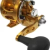 Avet Reels Avet SXJ G2 5.3 MC Single Speed Reel Gold