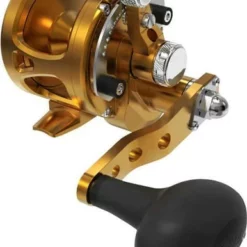 Avet Reels Avet SXJ G2 5.3 Single Speed Reel Gold