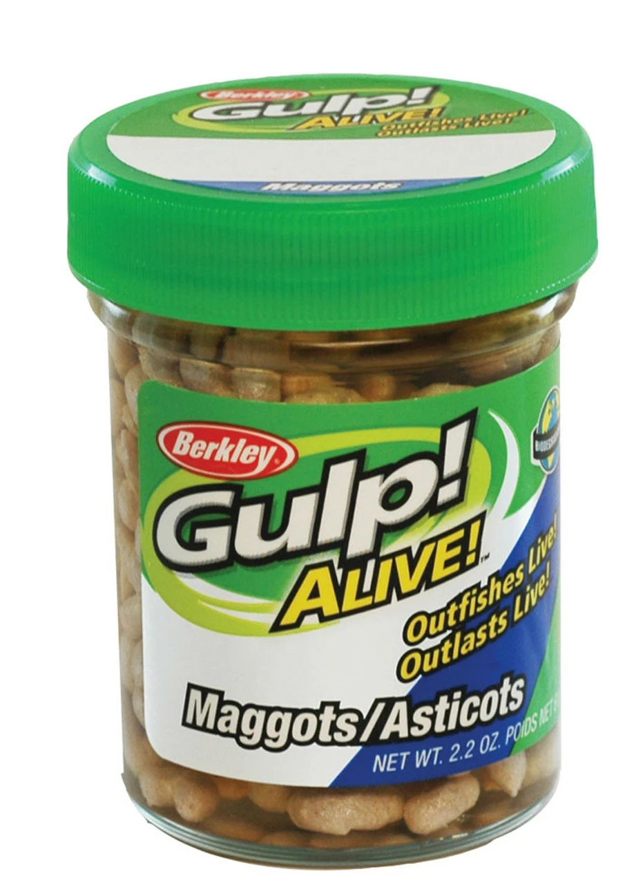 Berkley Glive Alive! Maggots - White 2 Berkley Glive Alive! Maggots - White - Image 2