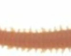 Berkley Gulp! Saltwater Sandworm -Marine Equipment & Accessories Sales Store berkley gulp saltwater sandworm 22647.1651153578