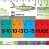 Bonefish Release Ruler
