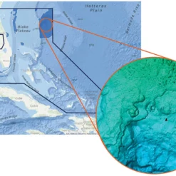 Marine Equipment & Accessories Sales Store 6 C-MAP Reveal - Florida & The Bahamas