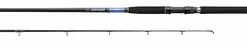 Daiwa Beefstick Surf Rods