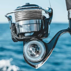 Daiwa Certate SW Spinning Reels -Marine Equipment & Accessories Sales Store daiwa certate sw spinning reels 63585.1651409087