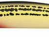 Daiwa Salt Pro Minnow - 5-1/8in Floating - SOS Yellow