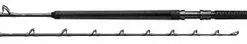 Daiwa Proteus Tuna Special Rail Rod