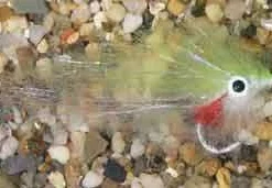 Enrico Puglisi Mangrove Baitfish Pilchard Saltwater Fly