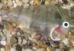 Enrico Puglisi Mangrove Baitfish Pinfish Saltwater Fly