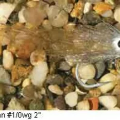 Enrico Puglisi Minnow Bay Anchovy Saltwater Fly -Marine Equipment & Accessories Sales Store enrico puglisi minnow bay anchovy saltwater fly 69488.1651171121