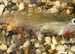 Enrico Puglisi Rattle Finger Mullet Saltwater Fly