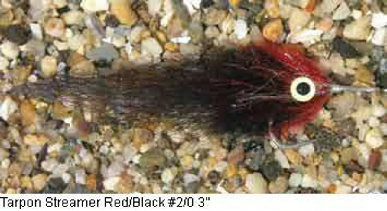 Enrico Puglisi Tarpon Streamer Saltwater Fly 3 Enrico Puglisi Tarpon Streamer Saltwater Fly - Image 3