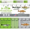 Florida Inshore Slam Release Ruler Decal