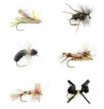 Fulling Mill Terrestrial Selection 1 Fulling Mill Terrestrial Selection