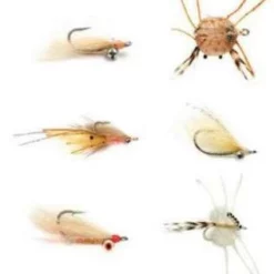 Fulling Mill Tropics Selection