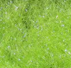 Hareline Dubbin Ice Dub - UV Light Olive