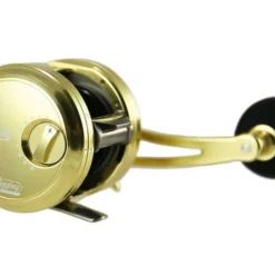 Jigging World Eros Star Drag Conventional Reels 11 Jigging World Eros Star Drag Conventional Reels -Marine Equipment & Accessories Sales Store jigging world eros star drag conventional reels 13448.1666875655