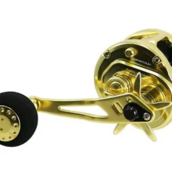 Jigging World Eros Star Drag Conventional Reels 12 Jigging World Eros Star Drag Conventional Reels -Marine Equipment & Accessories Sales Store jigging world eros star drag conventional reels 27619.1666875656