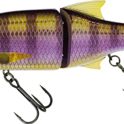 Molix Glide Bait 178 Floating