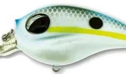 Molix SB Crank 55 - 2-1/4in - Charming Shad