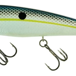 Molix Topwater 110 Baitfish Super Sound 8 Molix Topwater 110 Baitfish Super Sound -Marine Equipment & Accessories Sales Store molix topwater 110 baitfish super sound 75945.1651242461