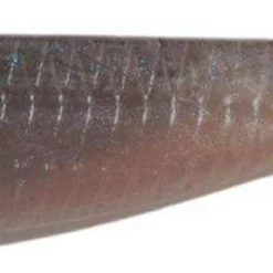 No Live Bait Needed (NLBN) Paddle Tail Swimbaits - 3 -Marine Equipment & Accessories Sales Store no live bait needed nlbn paddle tail swimbaits 3 43354.1681476867