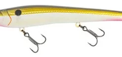 Nomad Design Shikari Suspending - 115 - Tennessee Shad