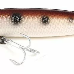 Northbar Tackle Northbar 1302 Montauk Darter Lures -Marine Equipment & Accessories Sales Store northbar 1302 montauk darter lures 51802.1650826614