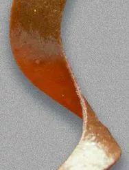 Otter Lure And Tackle Otter & Tackle Curly Short Tail 4 3/4 X 1/2in 10 Pack Natural