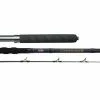 Penn Carnage II Boat Rods