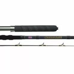 Penn Carnage II Boat Rods