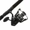 Penn PURIII8000701H Pursuit III Spinning Combo