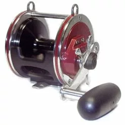 Penn 113H2 Senator Reel / Billfisher SSU3080C Stand-up Rod Combo