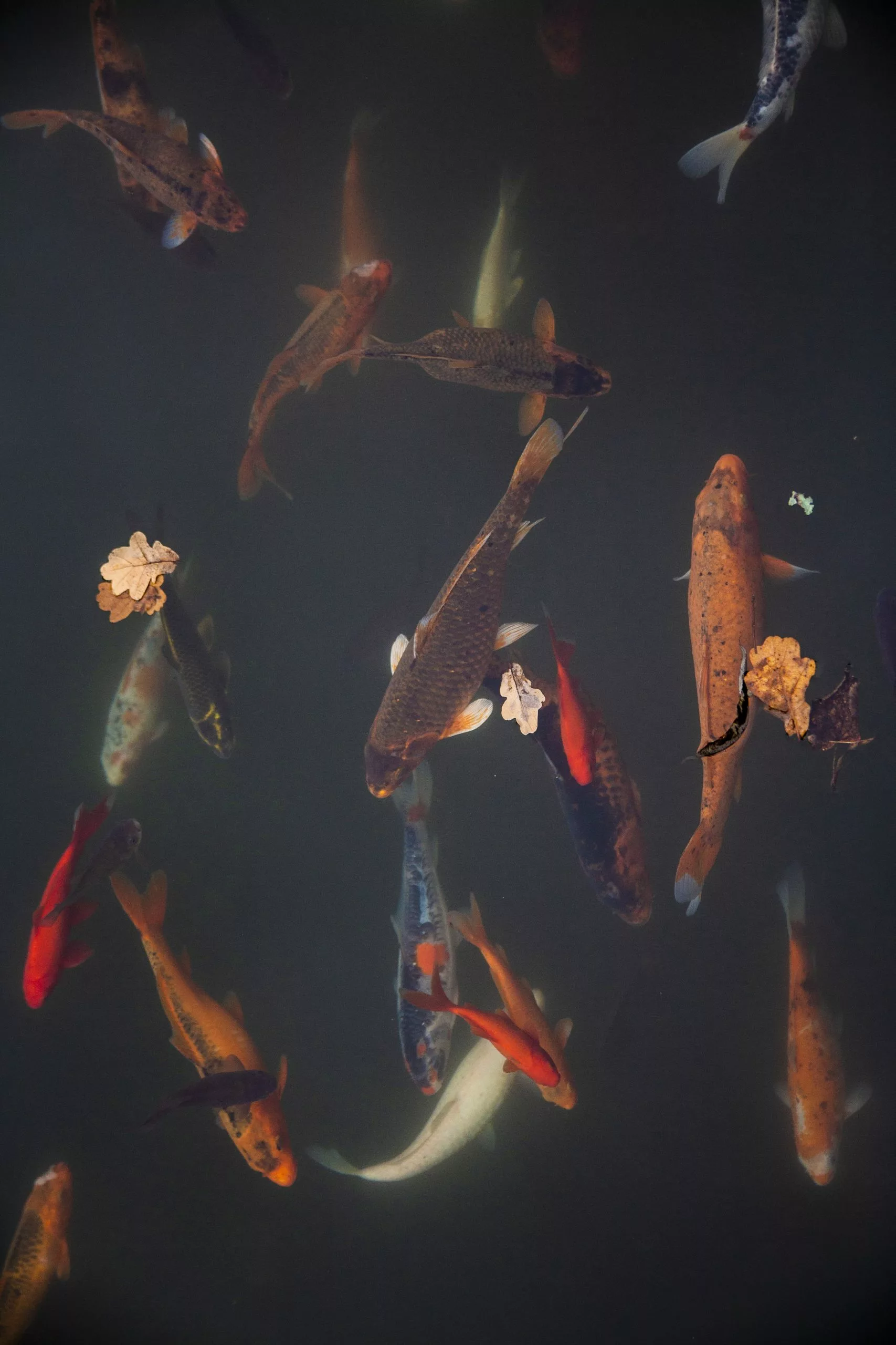 Marine Equipment & Accessories Sales Store 29 Marine Equipment & Accessories Sales Store -Marine Equipment & Accessories Sales Store pexels photo 6071242 scaled