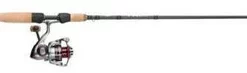 Pflueger President XT/Fenwick HMX Spinning Combos
