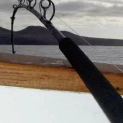 Phenix Black Diamond Hybrid Offshore Conventional Rods 5 Phenix Black Diamond Hybrid Offshore Conventional Rods -Marine Equipment & Accessories Sales Store phenix black diamond hybrid offshore conventional rods 94768.1651077055