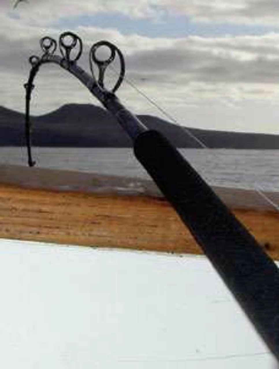 Phenix Black Diamond Hybrid Offshore Conventional Rods 3 Phenix Black Diamond Hybrid Offshore Conventional Rods - Image 3