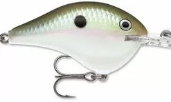 Rapala Dives To Crankbait Lure - DT14 GGSD Green Gizzard Shad