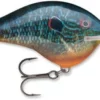 Rapala Dives To Crankbait Lures DT16 PSL Live Pumpkinseed