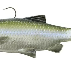 Savage Gear 3D Baitfish Paddletail Lure -Marine Equipment & Accessories Sales Store savage gear 3d baitfish paddletail lure 39739.1651163196