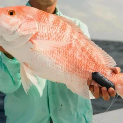 Sharkbanz Fishing Zeppelin 8 Sharkbanz Fishing Zeppelin -Marine Equipment & Accessories Sales Store sharkbanz sbf 0zep zeppelin 76776.1651418536