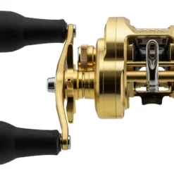 Shimano Calcutta Conquest MD Baitcasting Reels 8 Shimano Calcutta Conquest MD Baitcasting Reels -Marine Equipment & Accessories Sales Store shimano calcutta conquest md baitcasting reels 26236.1674255440